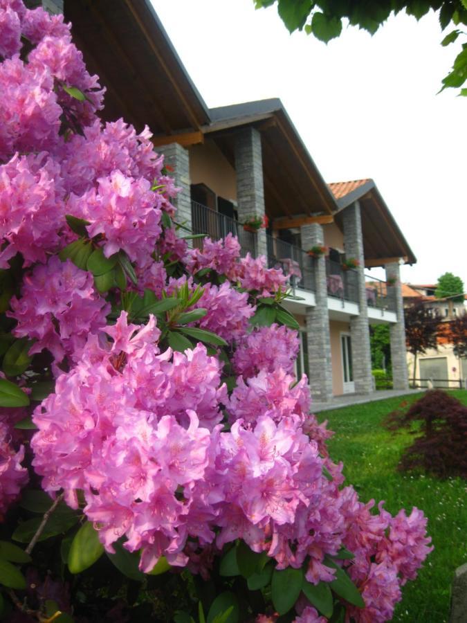 Garni Viggiona Hotel Trarego Buitenkant foto
